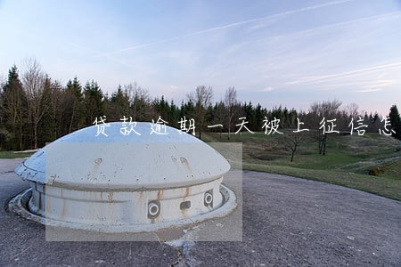 贷款逾期一天被上征信怎么办 贷款逾期一天被上征信怎么办