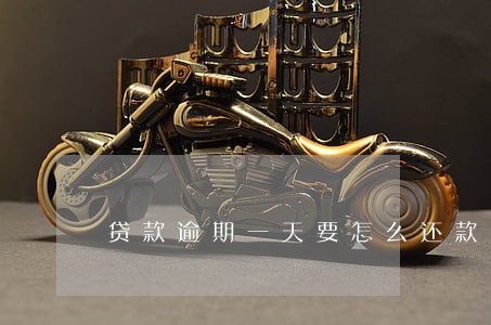 贷款逾期一天要怎么还款