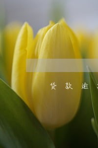 贷款逾期一天进征信系统吗 贷款逾期一天进征信系统吗
