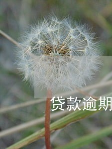 贷款逾期一年6 贷款逾期一年6