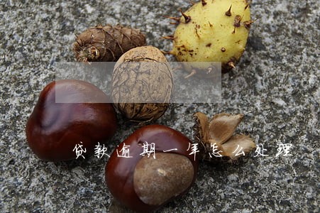 贷款逾期一年怎么处理 贷款逾期一年怎么处理