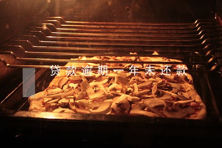 贷款逾期一年未还款 贷款逾期一年未还款