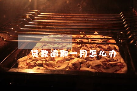 贷款逾期一月怎么办 贷款逾期一月怎么办
