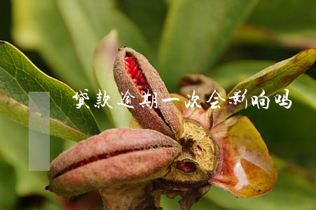 贷款逾期一次会影响吗 贷款逾期一次会影响吗