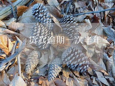 贷款逾期一次半年 贷款逾期一次半年