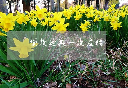贷款逾期一次应聘 贷款逾期一次应聘