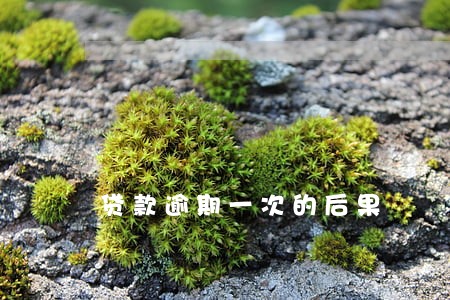 贷款逾期一次的后果 贷款逾期一次的后果