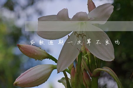 贷款逾期一次算不良吗 贷款逾期一次算不良吗