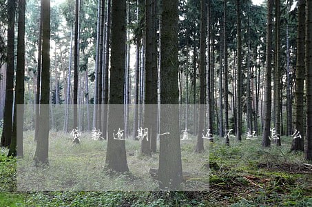 贷款逾期一直还不起怎么办 贷款逾期一直还不起怎么办