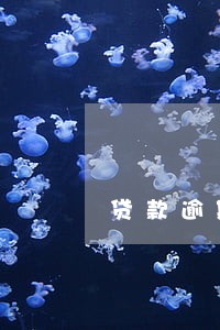 贷款逾期一般利息 贷款逾期一般利息