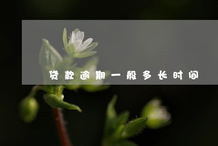贷款逾期一般多长时间