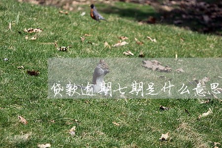 贷款逾期七期是什么意思 贷款逾期七期是什么意思