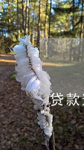 贷款逾期三个1 贷款逾期三个1