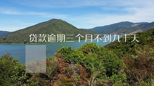 贷款逾期三个月不到九十天 贷款逾期三个月不到九十天