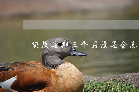 贷款逾期三个月没还会怎么样 贷款逾期三个月没还会怎么样