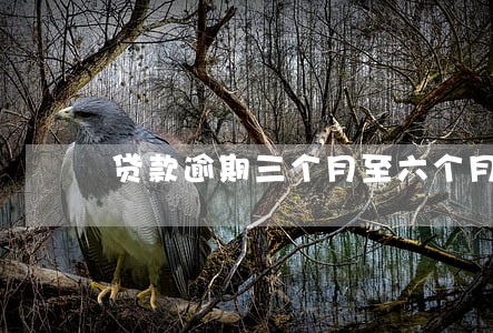 贷款逾期三个月至六个月 贷款逾期三个月至六个月