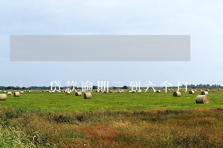 贷款逾期三到六个月 贷款逾期三到六个月