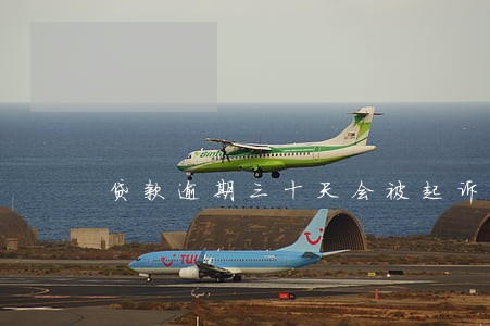 贷款逾期三十天会被起诉吗