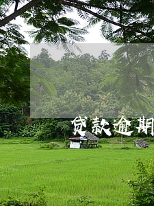 贷款逾期三天会影响信用吗