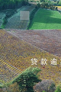 贷款逾期三天会影响征信 贷款逾期三天会影响征信