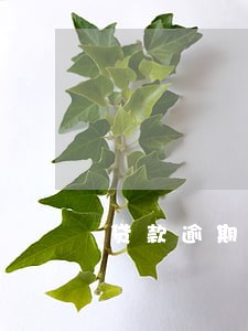 贷款逾期三天利息 贷款逾期三天利息