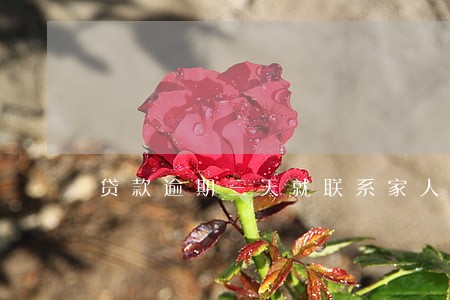 贷款逾期三天就联系家人