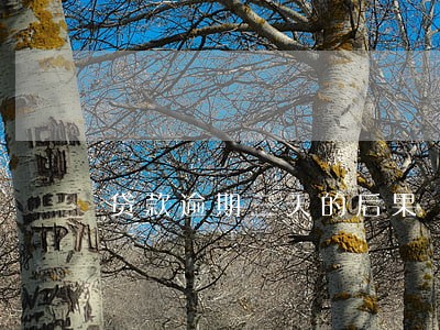 贷款逾期三天的后果 贷款逾期三天的后果
