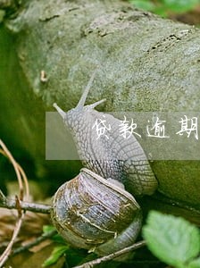 贷款逾期三年起诉 贷款逾期三年起诉