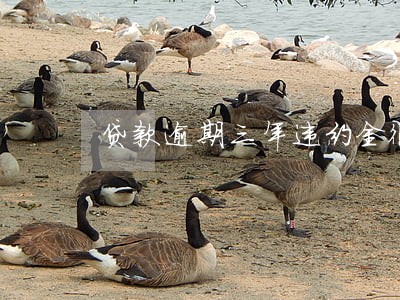 贷款逾期三年违约金很高 贷款逾期三年违约金很高