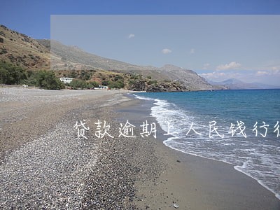 贷款逾期上人民钱行征信平台