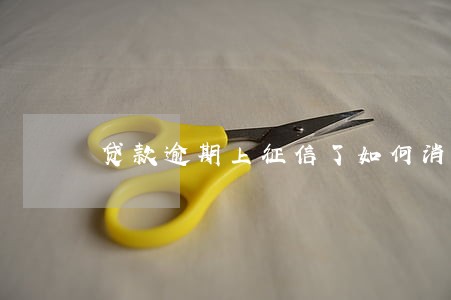 贷款逾期上征信了如何消除 贷款逾期上征信了如何消除