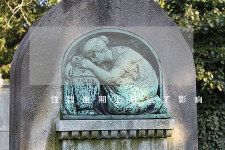 贷款逾期上征信了影响