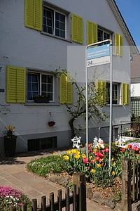 贷款逾期上征信信用卡降额