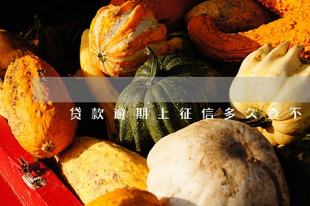 贷款逾期上征信多久查不到 贷款逾期上征信多久查不到