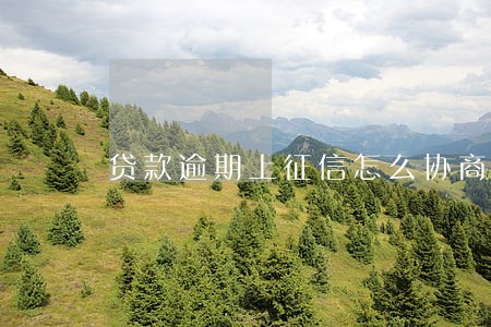 贷款逾期上征信怎么协商 贷款逾期上征信怎么协商