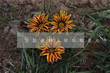贷款逾期上征信能坐火车吗 贷款逾期上征信能坐火车吗