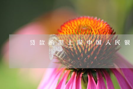贷款逾期上报中国人民银行 贷款逾期上报中国人民银行