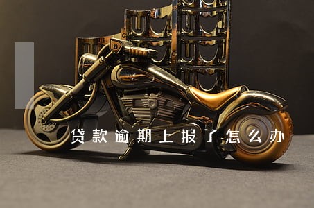 贷款逾期上报了怎么办 贷款逾期上报了怎么办
