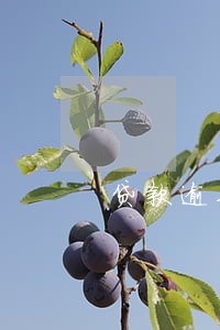 贷款逾期上门催收吗 贷款逾期上门催收吗