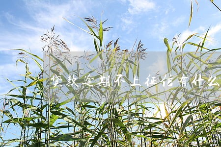 贷款逾期不上征信有什么 贷款逾期不上征信有什么