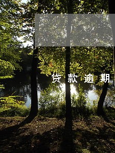 贷款逾期不交会怎样 贷款逾期不交会怎样