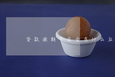 贷款逾期不交会有什么后果 贷款逾期不交会有什么后果
