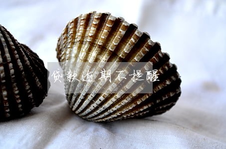 贷款逾期不提醒 贷款逾期不提醒