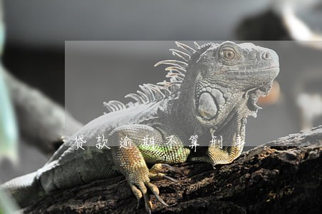 贷款逾期不算刑事