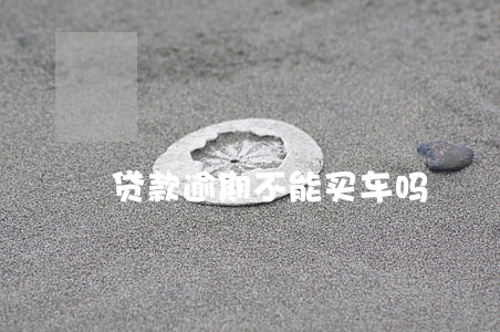 贷款逾期不能买车吗 贷款逾期不能买车吗