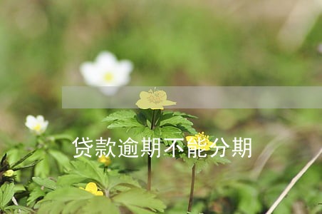 贷款逾期不能分期 贷款逾期不能分期