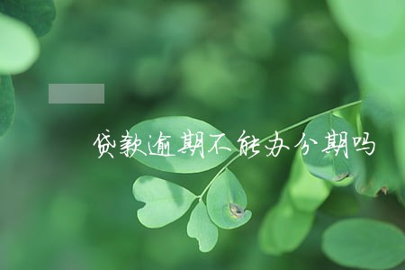 贷款逾期不能办分期吗