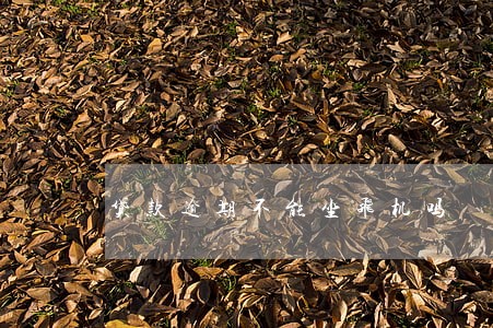 贷款逾期不能坐飞机吗
