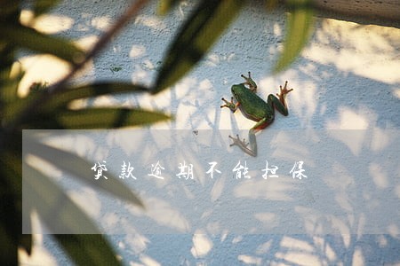 贷款逾期不能担保 贷款逾期不能担保