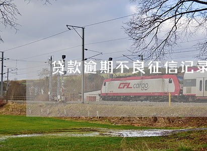 贷款逾期不良征信记录 贷款逾期不良征信记录